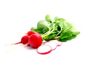 1 Piece (4.5 G) Radish, raw