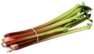 1 Piece (51.0 G) Rhubarb, raw