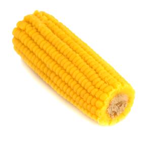 1 piece Corn-on-the-cob