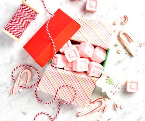 1 Piece Peppermint Sugar Cubes