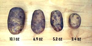 1 potato (5.3 oz) Russett Potatoes