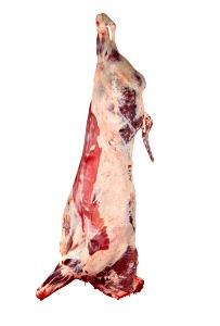 1 Pounds (453.6 G) Veal Leg Round, raw