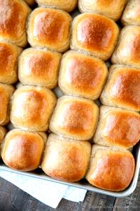 1 roll Wheat Large Cup Dinner Rolls