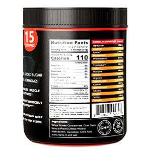 1 scoop (22 g) Complete Whey Protein (22g)