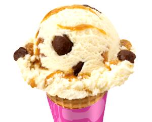 1 scoop (4 oz) No Sugar Added Caramel Turtle Truffle