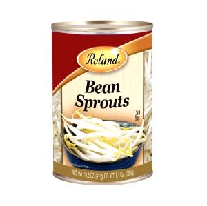 1 serving (1 oz) Bean Sprouts