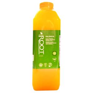 1 serving (8 oz) Valencia Orange Juice