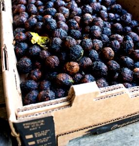 1 Serving Black Walnuts, Dried