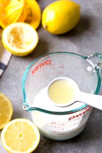 1 Serving Lemon Squeeze Yogurt