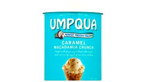 1 serving Macadamia Nut Toffee Frozen Yogurt