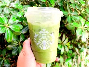 1 Serving Matcha Green Tea - Veinte, Iced