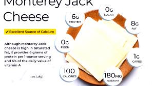 1 Serving Monterey Jack Cheese - One