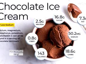 1 Serving No Fat Chocolate Small Cup Ice Cream