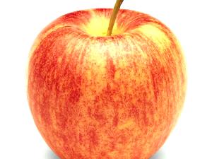 1 Serving Organic Gala Apple