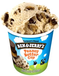 1 Serving Peanut Butter Cup Ice Cream - Fun Flavors