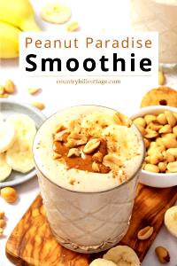 1 Serving Peanut Paradise W/ Splenda Smoothie