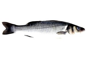 1 Serving Seabass