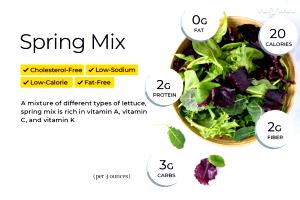 1 Serving Spring Mix Salad