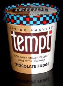 1 Serving Tempt Chocolate Fudge Non-Dairy Frozen Dessert