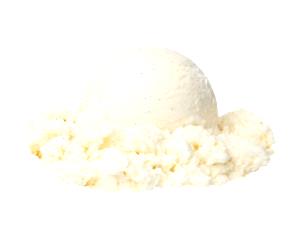 1 Serving Vanilla Bean Hand-Scooped - Large