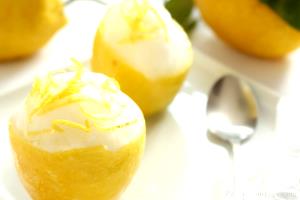 1 shell (52 ml) Lemon Sorbet