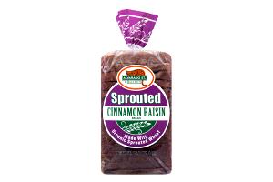 1 slice (42 g) Sprouted Cinnamon Raisin Bread