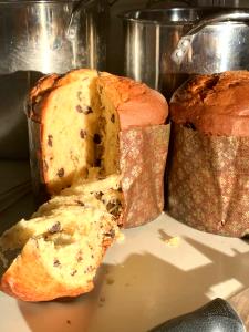 1 slice (56 g) Panettone