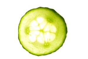 1 Slice Cucumber