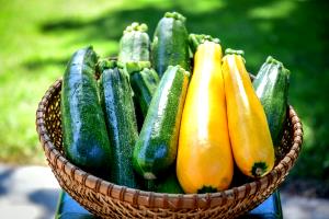 1 Slice Green Summer Squash