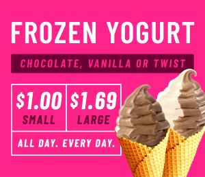 1 Small Chocolate Frozen Yogurt Cone