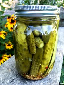 1 Small Dill Cucumber Pickles