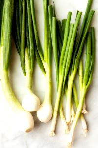 1 Small Onion, Spring Or Scallions, Raw