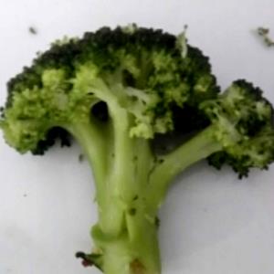 1 Spear Broccoli, Boiled W/Salt