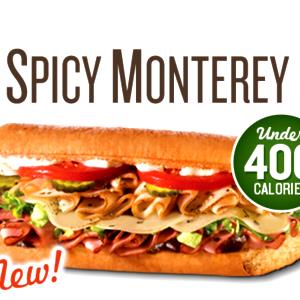 1 sub Spicy Monterey (Small)