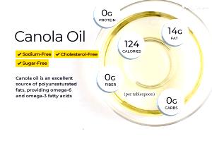 1 Tbsp Canola Vegetable Oil