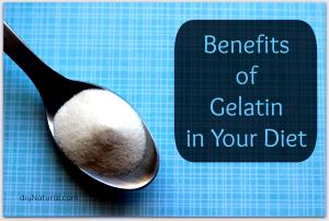 1 Tbsp Diet Gelatin Powder (Sweetened with Low Calorie Sweetener, Dry)