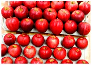 1 tray (156 g) Apples & Grapes with Colby Cheese Bites