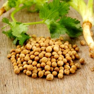 1 Tsp. (0.6 G) Coriander Leaves, dried