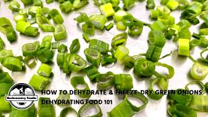 1 Tsp Green Onion, Freeze Dried