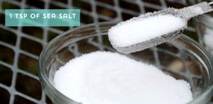 1 Tsp Sea Salt