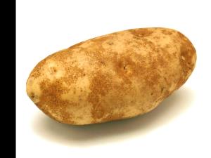 1 Whole, Large (369.0 G) Russet Potato, raw