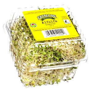 100 G Alfalfa Sprouts