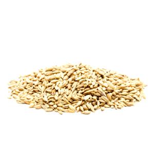 100 G Barley