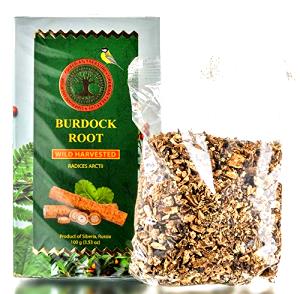 100 G Burdock Root