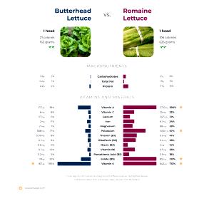 100 G Butterhead Lettuce (Includes Boston and Bibb Types)