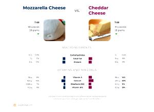 100 G Cheddar or American Type Cheese