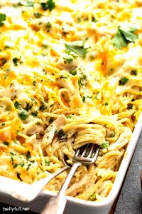 100 G Chicken or Turkey and Noodles with Cheese Sauce (Mixture)