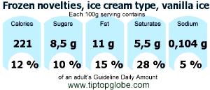 100 G Chocolate Coated Vanilla Ice Cream (Light, No Sugar Added)