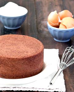 100 G Chocolate Sponge Cake