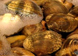 100 G Clams (Mixed Species, Drained Solids, Canned)